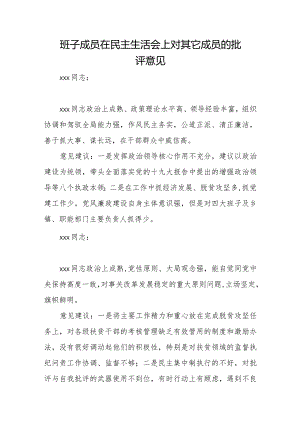 班子成员在民主生活会上对其它成员的批评意见.docx
