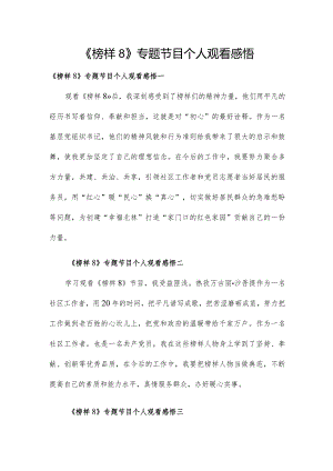 《榜样8》专题节目个人观看感悟.docx