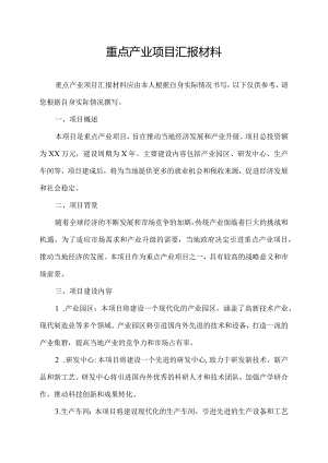 重点产业项目汇报材料.docx