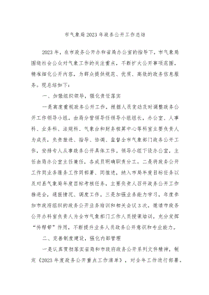 市气象局2023年政务公开工作总结.docx