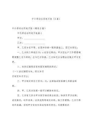 中介劳动合同电子版（3篇）.docx