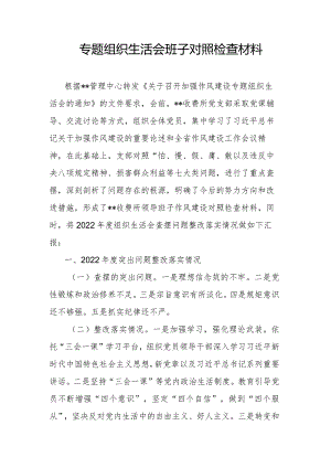专题组织生活会班子对照检查材料.docx