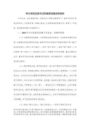 审计局党支部书记抓基层党建述职报告.docx