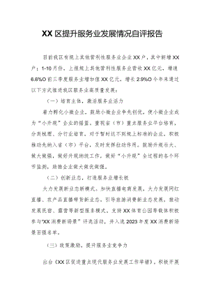 XX区提升服务业发展情况自评报告.docx