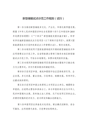 新型储能试点示范工作规则.docx
