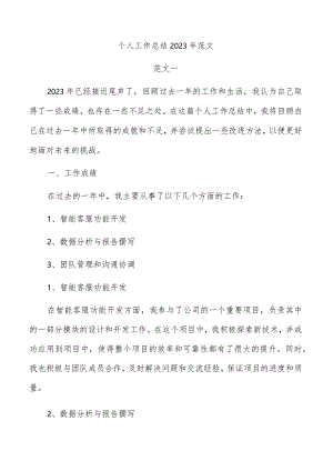 个人工作总结2023年范文.docx