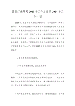 县医疗保障局2023年工作总结及2024年工作计划.docx