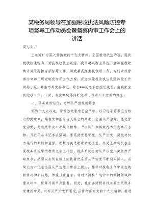 某税务局领导在加强税收执法风险防控专项督导工作动员会暨督察内审工作会上的讲话.docx