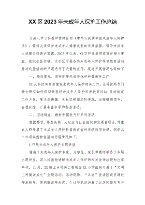 XX区2023 年未成年人保护工作总结.docx