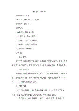 集中接访会议记录.docx