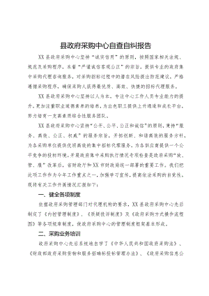 县政府采购中心自查自纠报告.docx