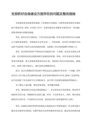 支部抓好自身建设方面存在的问题及整改措施.docx