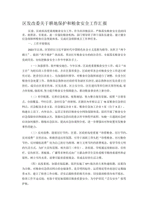 区发改委关于耕地保护和粮食安全工作汇报.docx