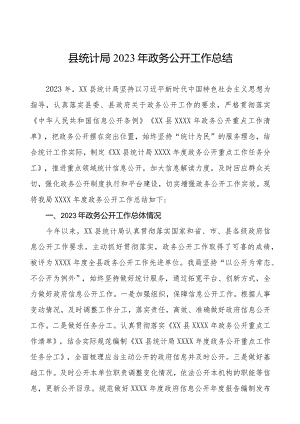 县统计局2023年政务公开工作总结.docx
