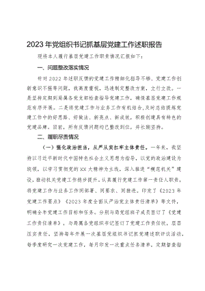 2023年党组织书记抓基层党建工作述职报告 .docx