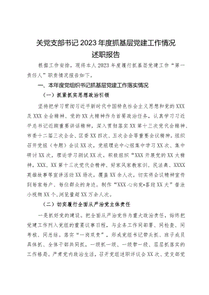 关党支部书记2023年度抓基层党建工作情况述职报告.docx