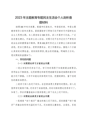 公司党员干部2023年主题教育专题民主生活会个人剖析查摆材料.docx