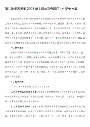 第二批学习贯彻2023年主题教育专题民主生活会方案.docx