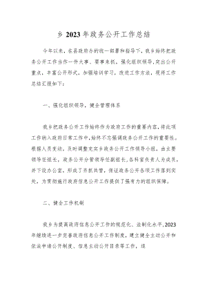 乡2023年政务公开工作总结.docx