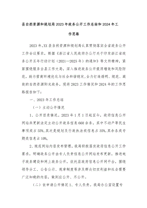 县自然资源和规划局2023年政务公开工作总结和2024年工作思路.docx