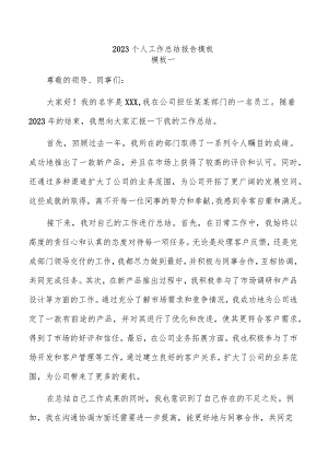 2023个人工作总结报告模板.docx