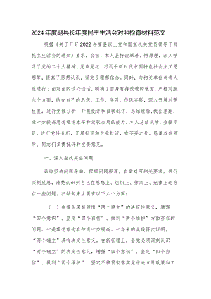 2024年度副县长年度民主生活会对照检查材料范文.docx