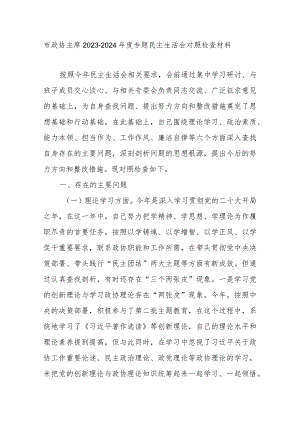 市政协主席2023-2024年度专题民主生活会对照检查材料.docx