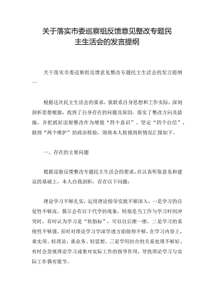 关于落实市委巡察组反馈意见整改专题民主生活会的发言提纲.docx