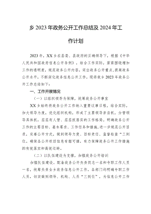 乡2023年政务公开工作总结及2024年工作计划(20231217).docx