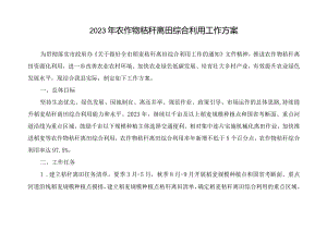 2023年农作物秸秆离田综合利用工作方案.docx