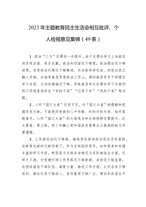 2023年主题教育民主生活会相互批评、个人检视意见集锦（49条）.docx