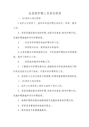 各层级护理人员岗位职责.docx