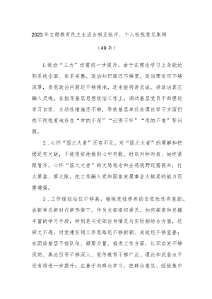 (49条)2023年主题教育民主生活会相互批评、个人检视意见集锦.docx