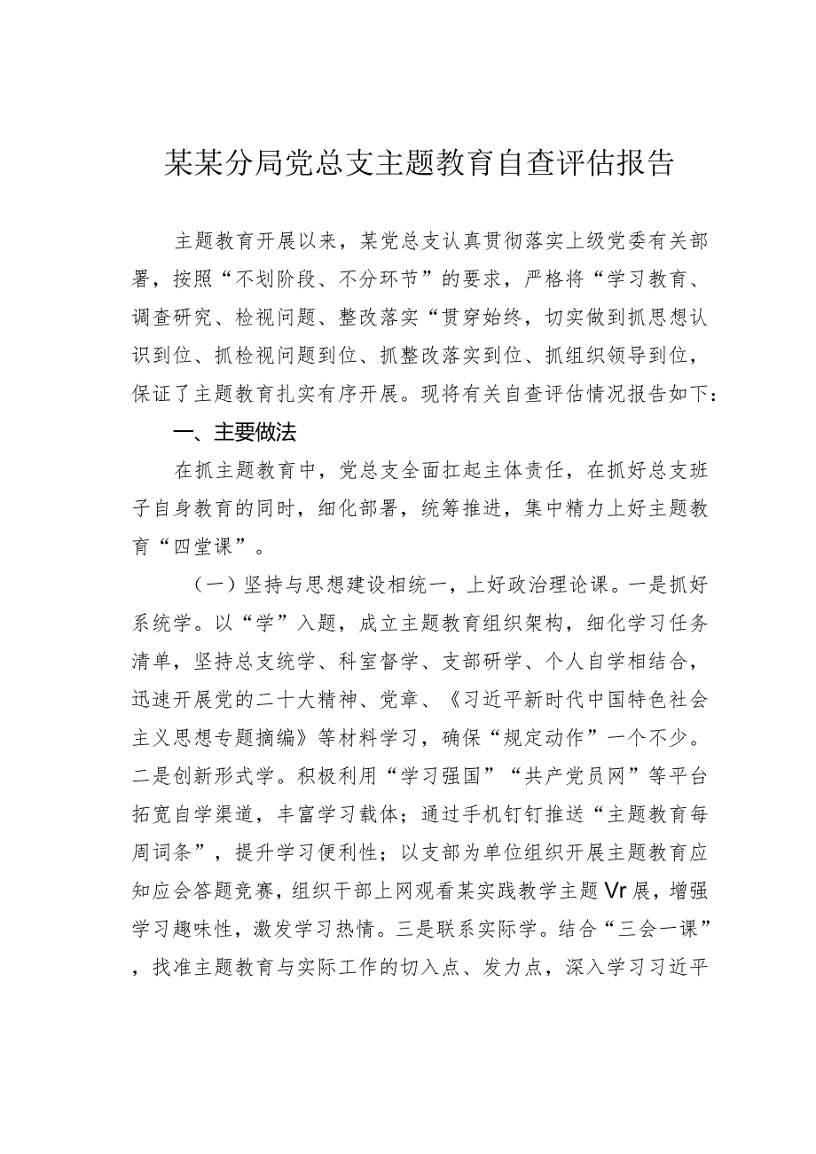 某某分局党总支主题教育自查评估报告.docx_第1页