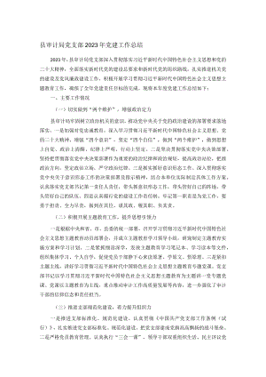 县审计局党支部2023年党建工作总结.docx