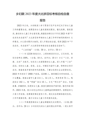 乡妇联2023年度大比拼目标考核自检自查报告.docx