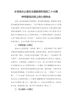 乡党政办公室在主题教育和党的二十大精神专题培训班上的心得体会.docx