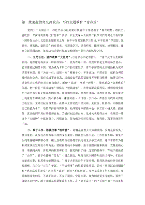 第二批主题教育交流发言：写好主题教育“青春篇”.docx