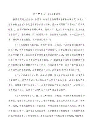 班子23年六个方面检查自查.docx