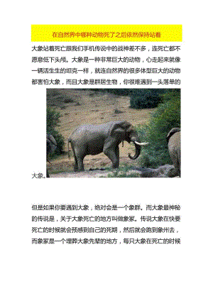 在自然界中哪种动物死了之后依然保持站着.docx
