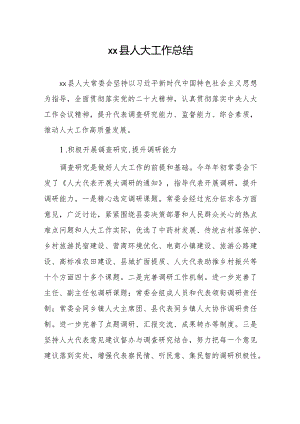 xx县人大工作总结.docx