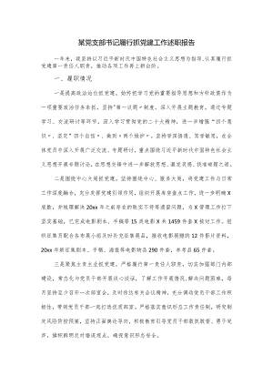 某党支部书记履行抓党建工作述职报告.docx