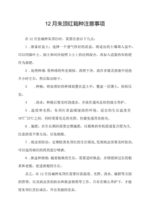 12月朱顶红栽种注意事项.docx