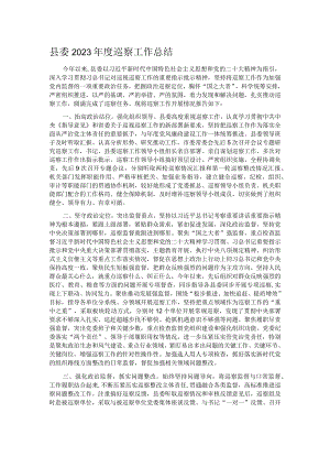 县委2023年度巡察工作总结.docx