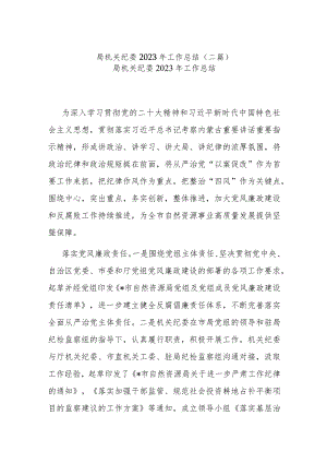 局机关纪委2023年工作总结(二篇).docx