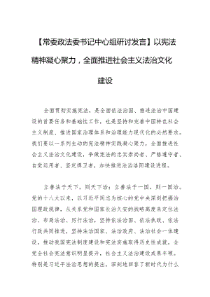 【常委政法委书记中心组研讨发言】以宪法精神凝心聚力全面推进社会主义法治文化建设.docx