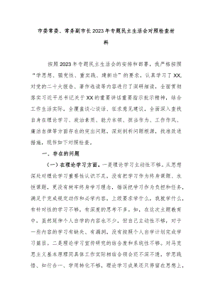 市委常委、常务副市长2023年专题民主生活会对照检查材料 .docx