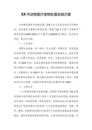 XX市动物医疗废物处置实施方案.docx