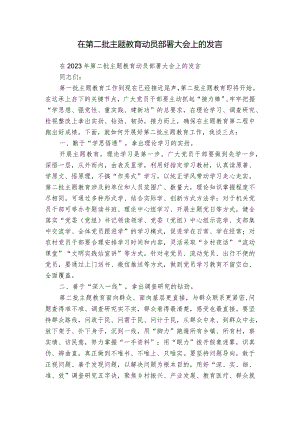 在第二批主题教育动员部署大会上的发言.docx