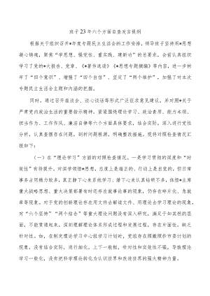 班子23年六个方面自查发言提纲.docx